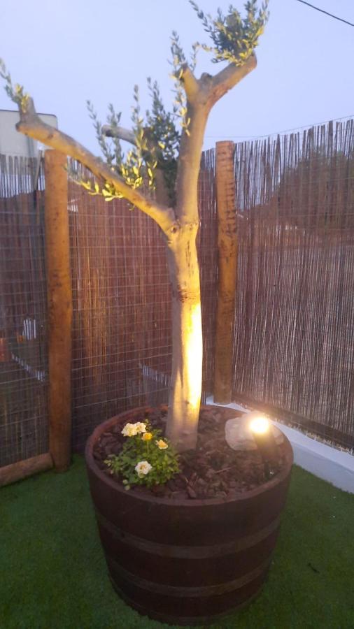 Sunrise Monsaraz Blue - Casa Com 2 Quartos Jardim Exterior photo